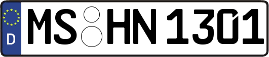 MS-HN1301