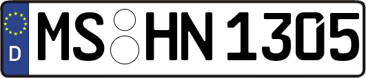 MS-HN1305