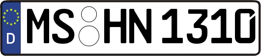 MS-HN1310