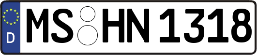 MS-HN1318