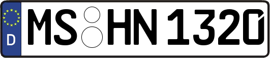 MS-HN1320