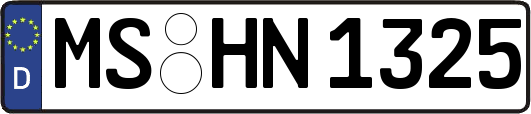 MS-HN1325