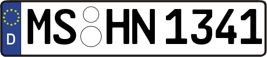 MS-HN1341