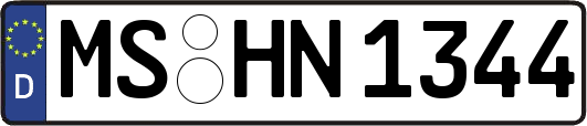 MS-HN1344