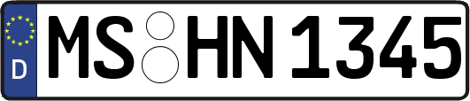 MS-HN1345