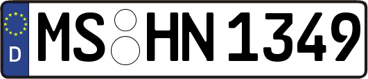 MS-HN1349