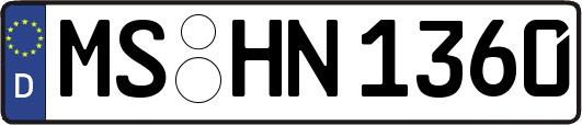 MS-HN1360