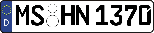MS-HN1370