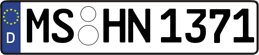 MS-HN1371