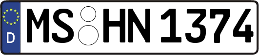 MS-HN1374