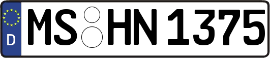 MS-HN1375