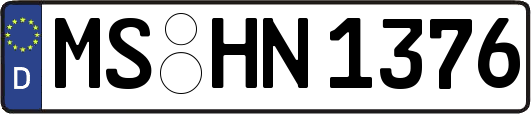 MS-HN1376