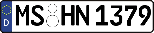 MS-HN1379