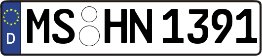 MS-HN1391