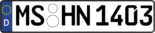MS-HN1403