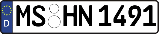 MS-HN1491