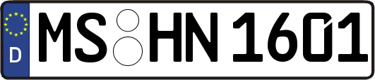 MS-HN1601