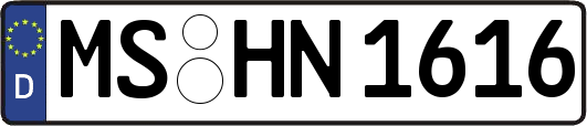 MS-HN1616