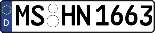 MS-HN1663