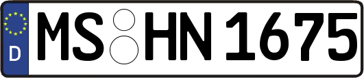 MS-HN1675