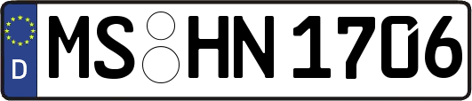 MS-HN1706