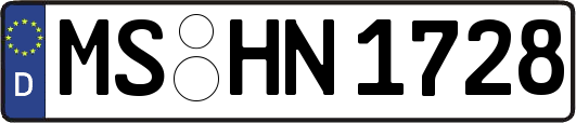 MS-HN1728