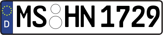 MS-HN1729