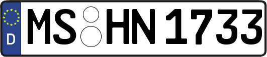 MS-HN1733
