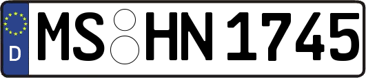 MS-HN1745