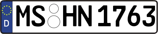 MS-HN1763