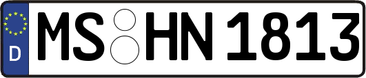 MS-HN1813