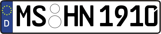 MS-HN1910