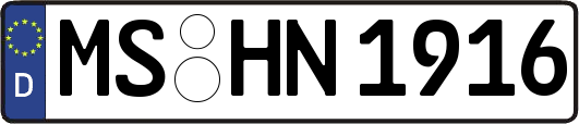 MS-HN1916