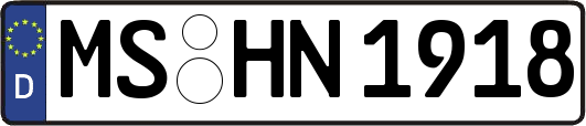 MS-HN1918