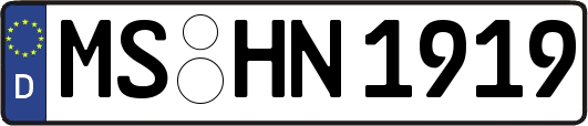 MS-HN1919