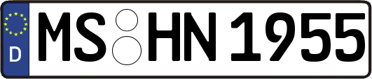 MS-HN1955