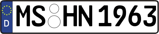 MS-HN1963