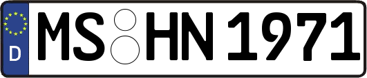 MS-HN1971