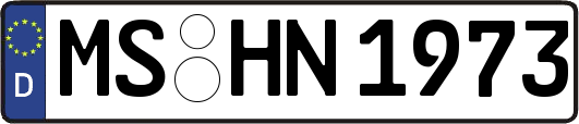 MS-HN1973