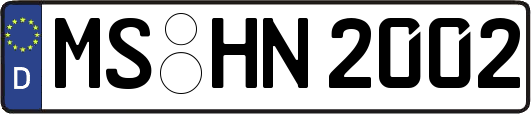 MS-HN2002