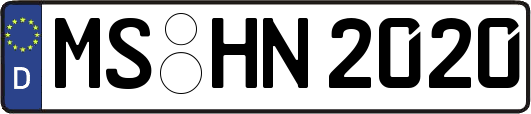 MS-HN2020