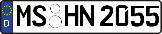 MS-HN2055