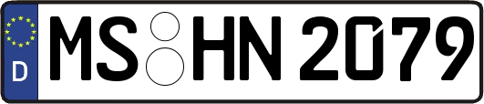 MS-HN2079