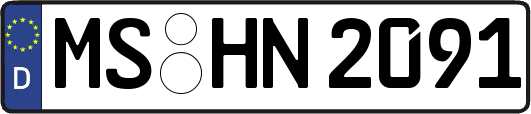 MS-HN2091