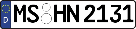 MS-HN2131