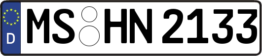 MS-HN2133