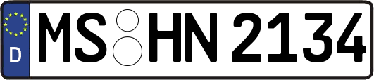 MS-HN2134