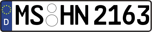 MS-HN2163