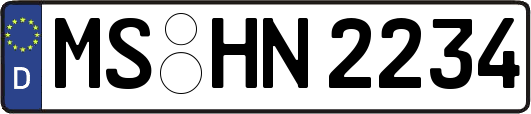 MS-HN2234