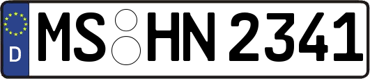 MS-HN2341
